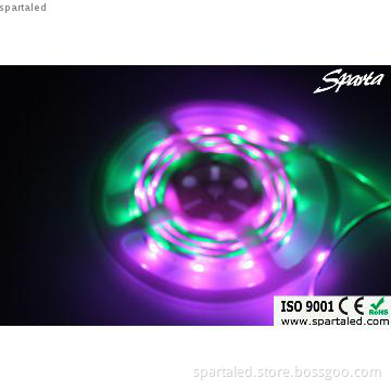 60PCS 5050smd RGB color 12V Waterproof led strip